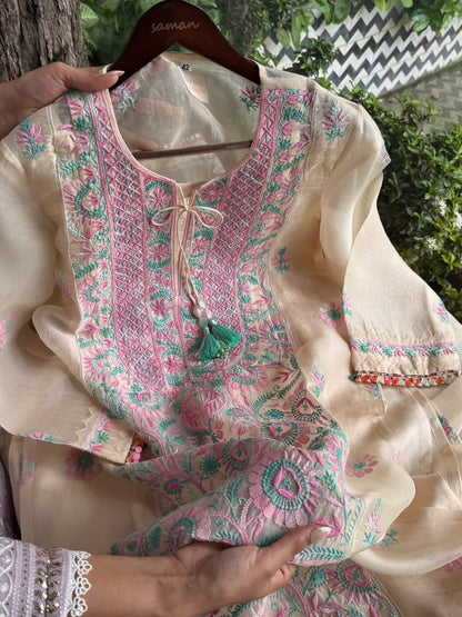 Noor Multi Coloured Chikankari Organza Kurta Set
