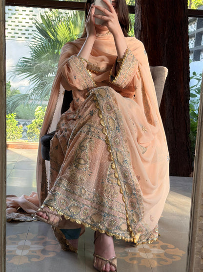 Tukdi Multi Colour Pure Georgette Chikankari Anarkali