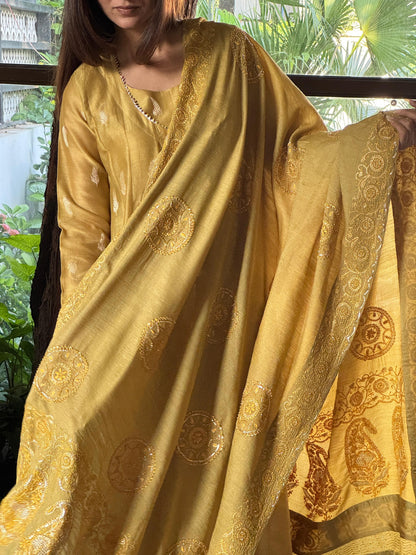 Zari Tissue Chikanakari Ari Heriloom Chikankari Dupatta Angarkha Set