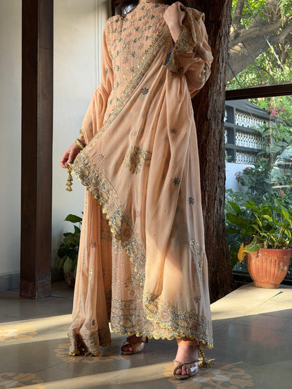 Tukdi Multi Colour Pure Georgette Chikankari Anarkali