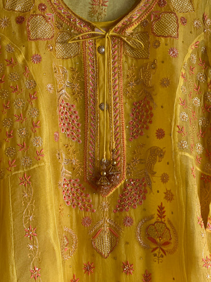 Saffron Mango Shade Noor Organza Chikankari Anarkali