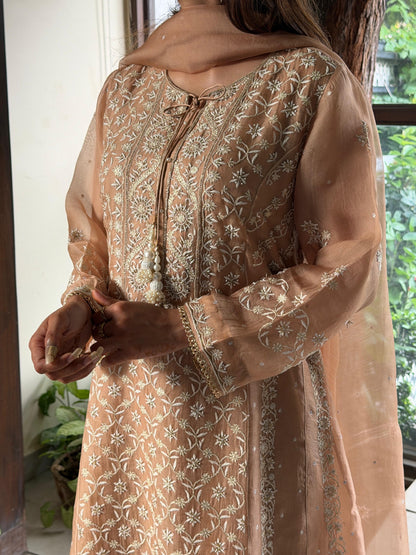 Beige Shade Noor Organza Chikankari Anarkali
