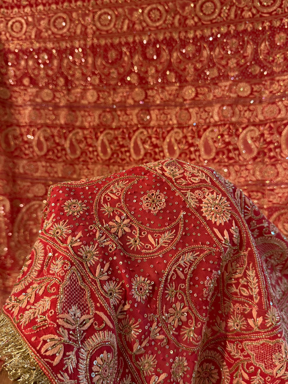 Deep Coral Shade Heavy Chikankari Jwelled Chikankari Sequinned Saree
