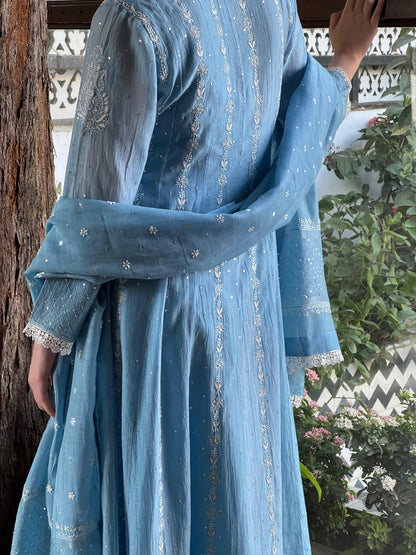 Powder Blue Shade Malmal Pearl Work Chikankari Anarkali