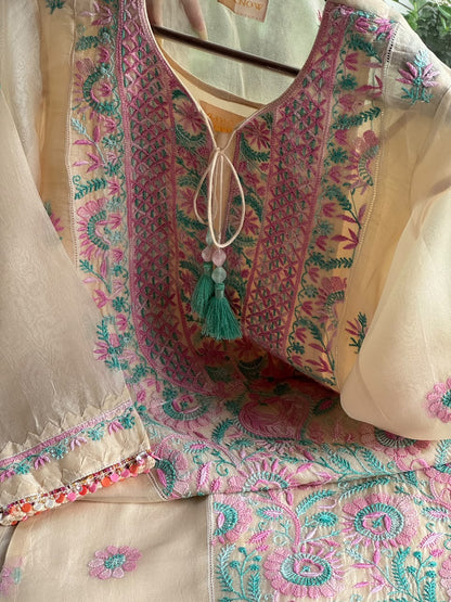 Noor Multi Coloured Chikankari Organza Kurta Set