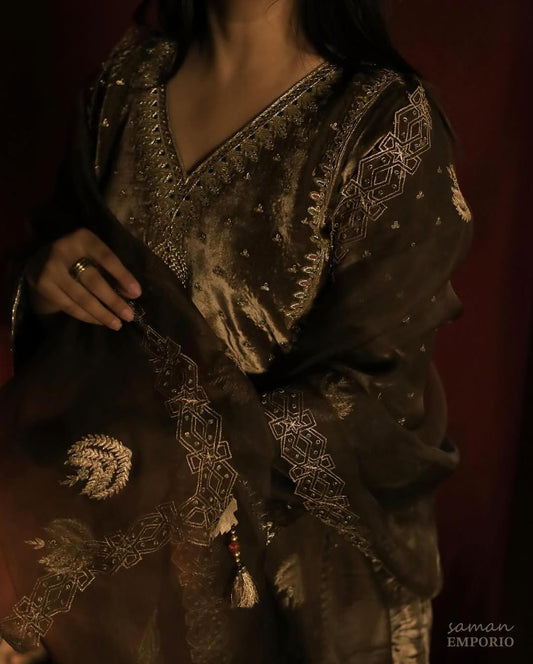 Taupe Shade | Saman Velvet Ready To Wear Kurta Set