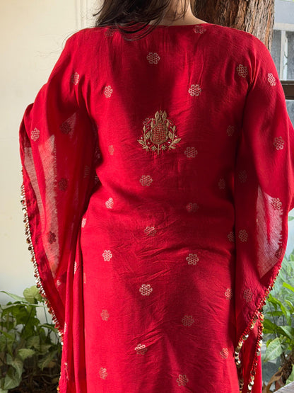 Red Zari Chanderi Chikankari Kaftan