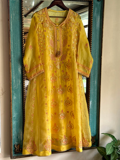 Saffron Mango Shade Noor Organza Chikankari Anarkali