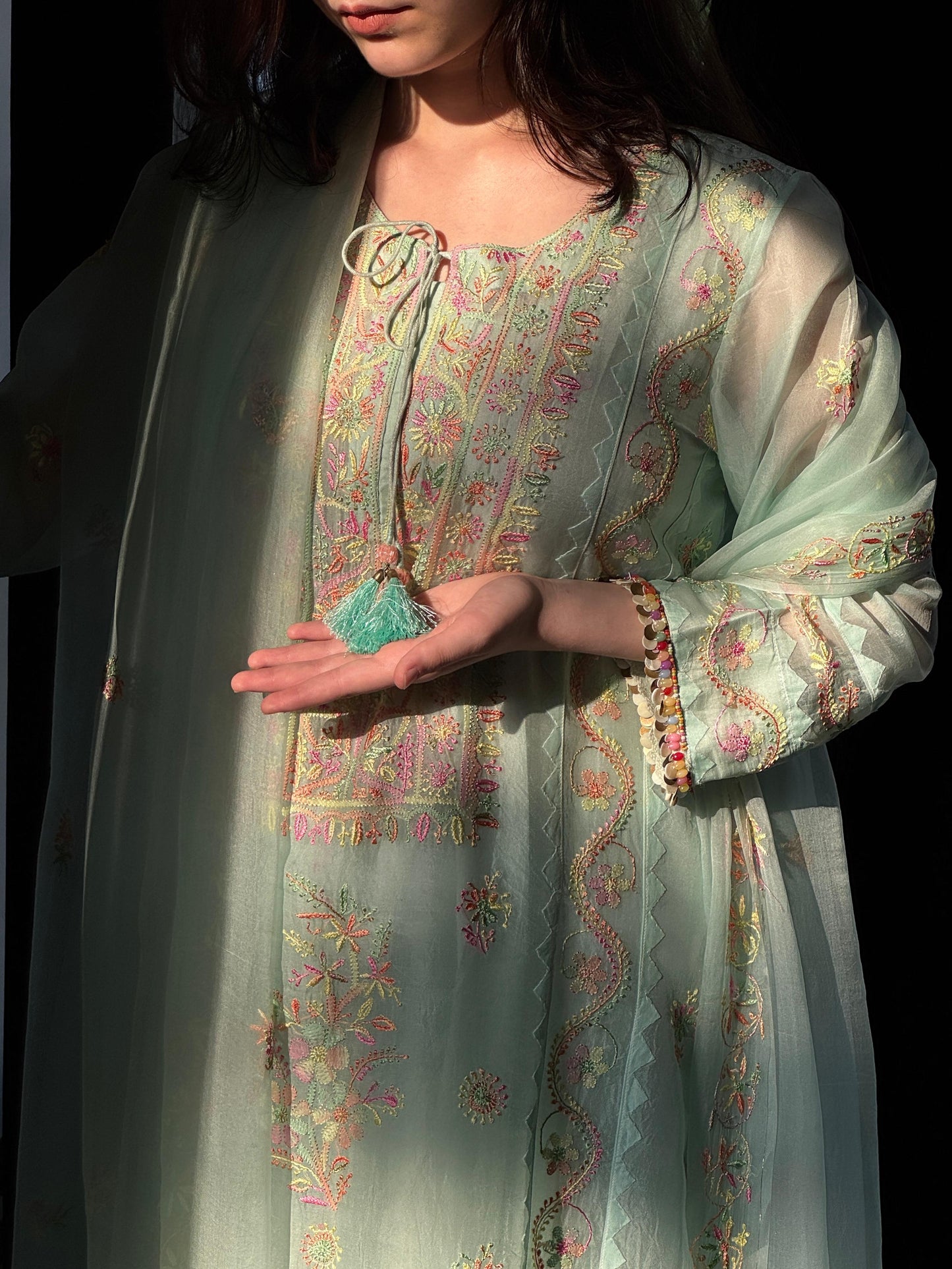 Mint Blue Multi Coloured Noor Organza Resham Chikankari Kurta Set