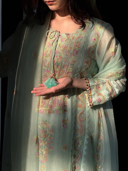 Mint Blue Multi Coloured Noor Organza Resham Chikankari Kurta Set