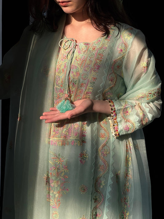 Mint Blue Multi Coloured Noor Organza Resham Chikankari Kurta Set
