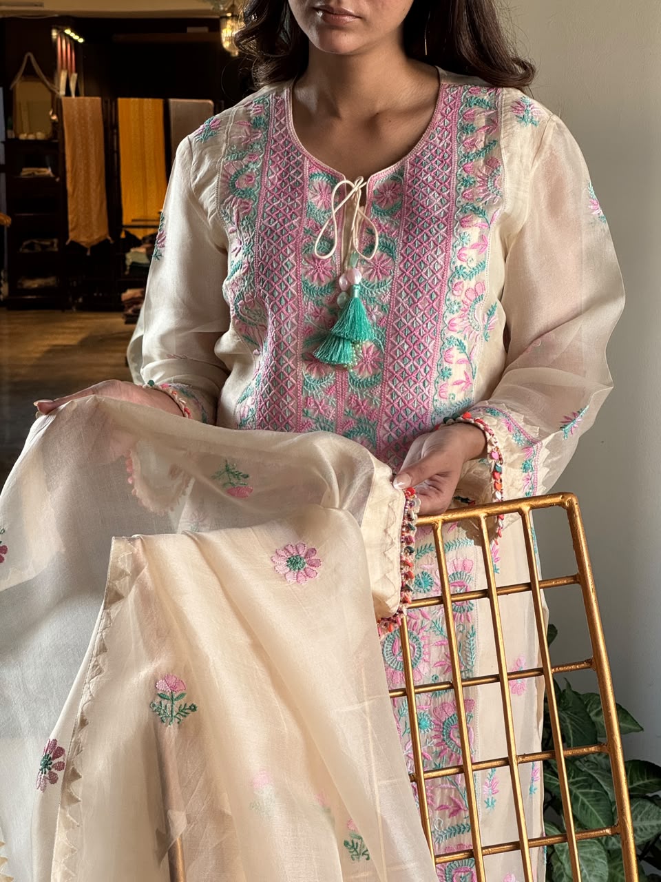 Noor Multi Coloured Chikankari Organza Kurta Set