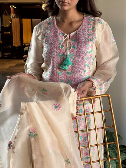 Noor Multi Coloured Chikankari Organza Kurta Set