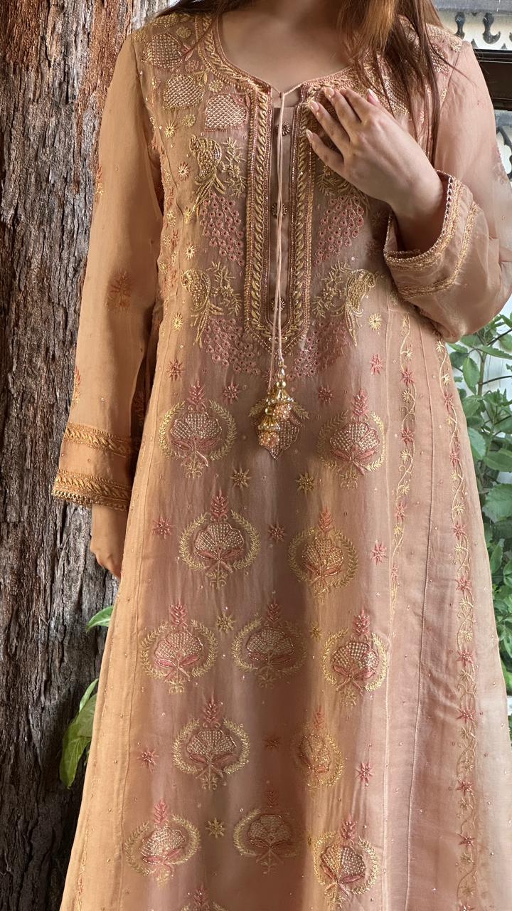 Almond Pink Noor Organza Chikankari A Line Kurta With Dupatta
