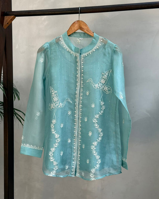 Powder Blue Noor Organza Bird Pattern Resham Chikankari Short Top