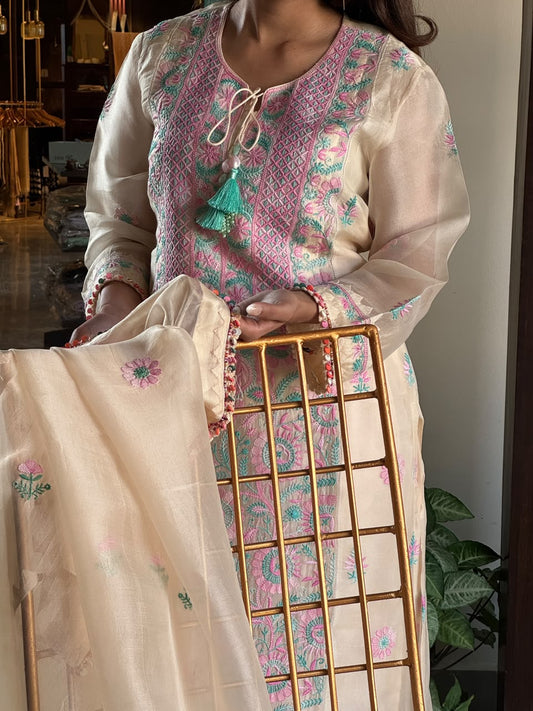 Noor Multi Coloured Chikankari Organza Kurta Set
