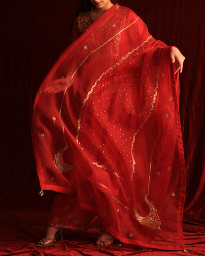 Red Maheshwari Silk Awadhi Zardosi Kurta Set