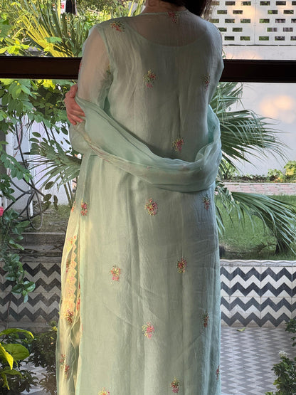 Mint Blue Multi Coloured Noor Organza Resham Chikankari Kurta Set