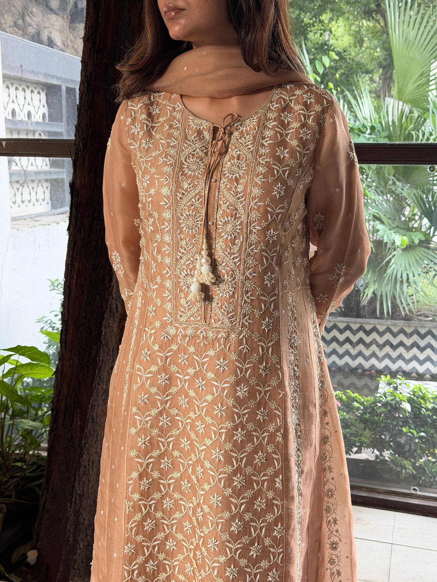 Beige Shade Noor Organza Chikankari Anarkali