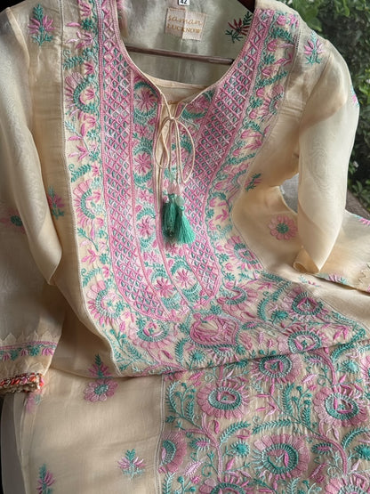 Noor Multi Coloured Chikankari Organza Kurta Set