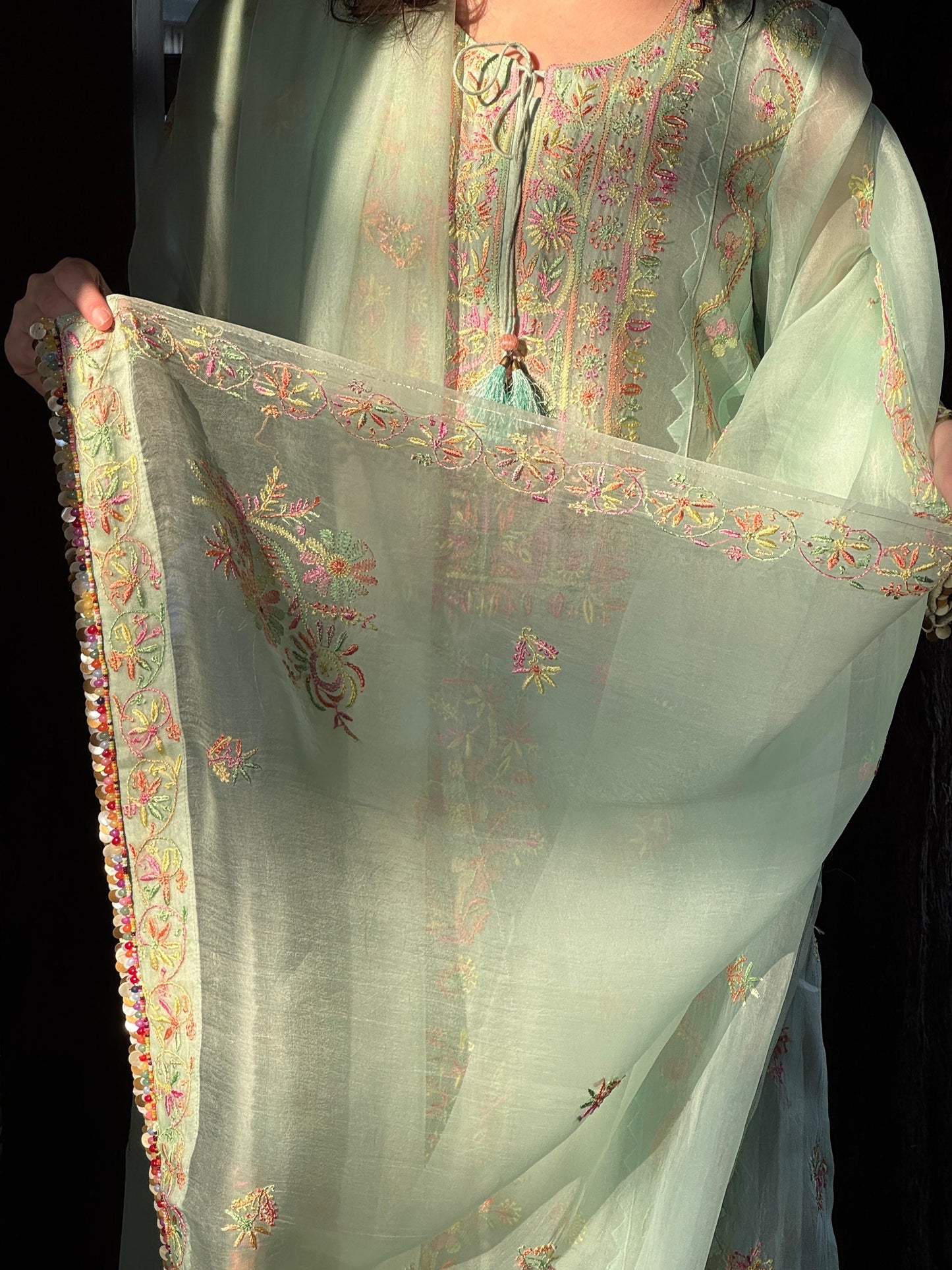 Mint Blue Multi Coloured Noor Organza Resham Chikankari Kurta Set