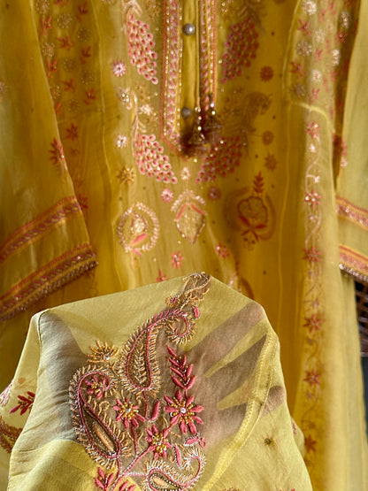 Saffron Mango Shade Noor Organza Chikankari Anarkali