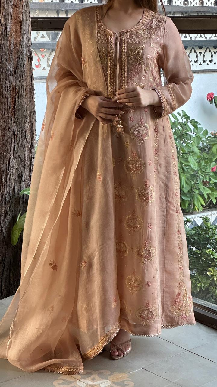 Almond Pink Noor Organza Chikankari A Line Kurta With Dupatta