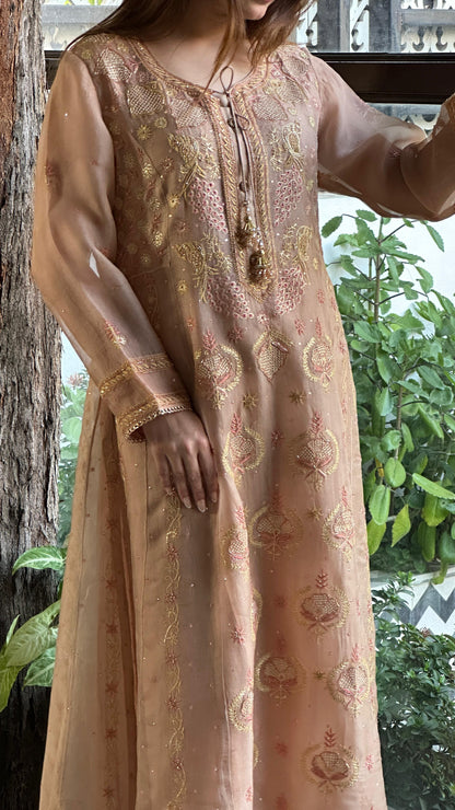 Almond Pink Noor Organza Chikankari A Line Kurta With Dupatta