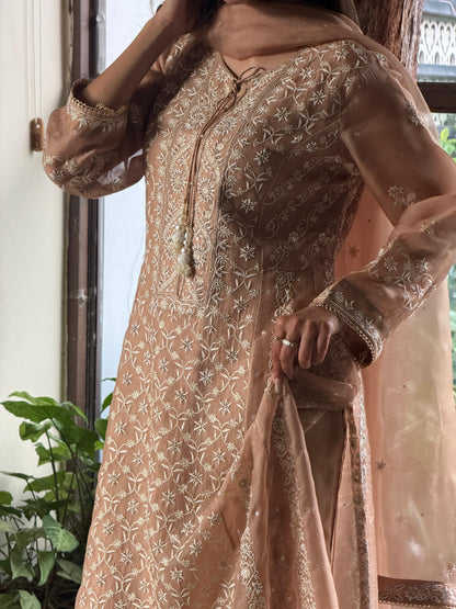 Beige Shade Noor Organza Chikankari Anarkali