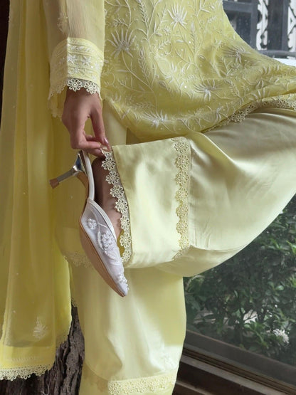Chiffon Chikankari Sequinned Farshi Salwar with Potli Set