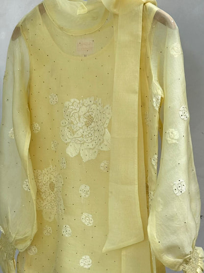Lemon Noor Organza Resham Chikankari Short Top With Bow Tie