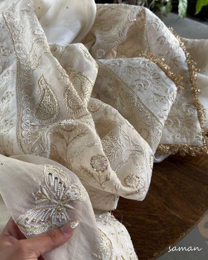 Noor Organza White Butterfly Chikankari Saree