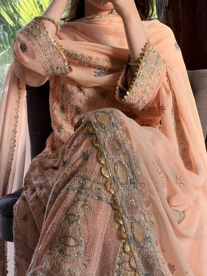 Tukdi Multi Colour Pure Georgette Chikankari Anarkali