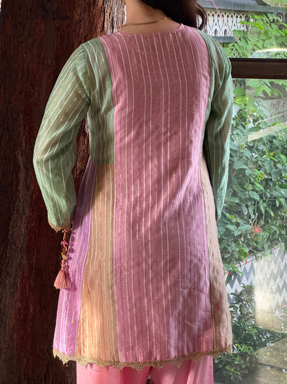 Multi Shade Kalidar Handloom Chikankari Farshi Sets