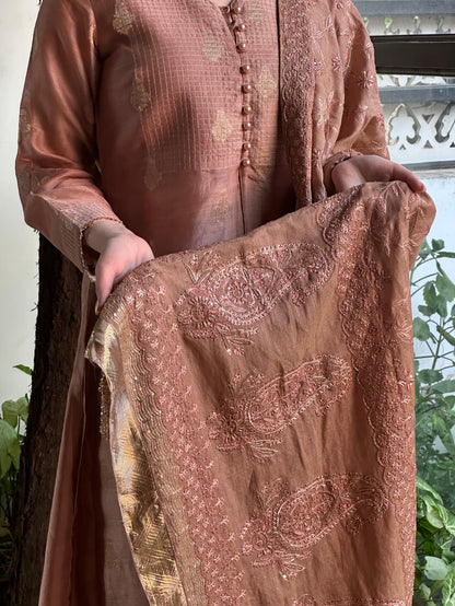Heirloom Chikankari
Dupatta Dagla | Terracotta Pink
