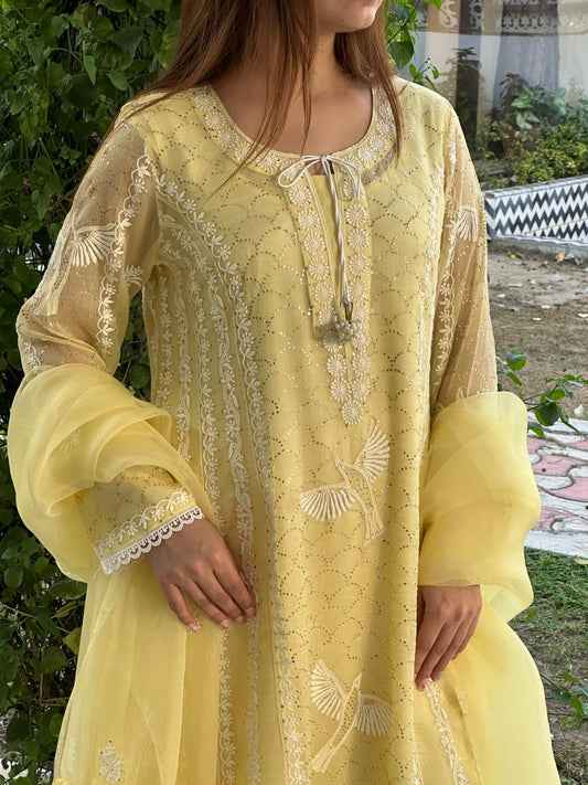 Yellow Noor Organza Chikankari Mukaish Anarkali Set