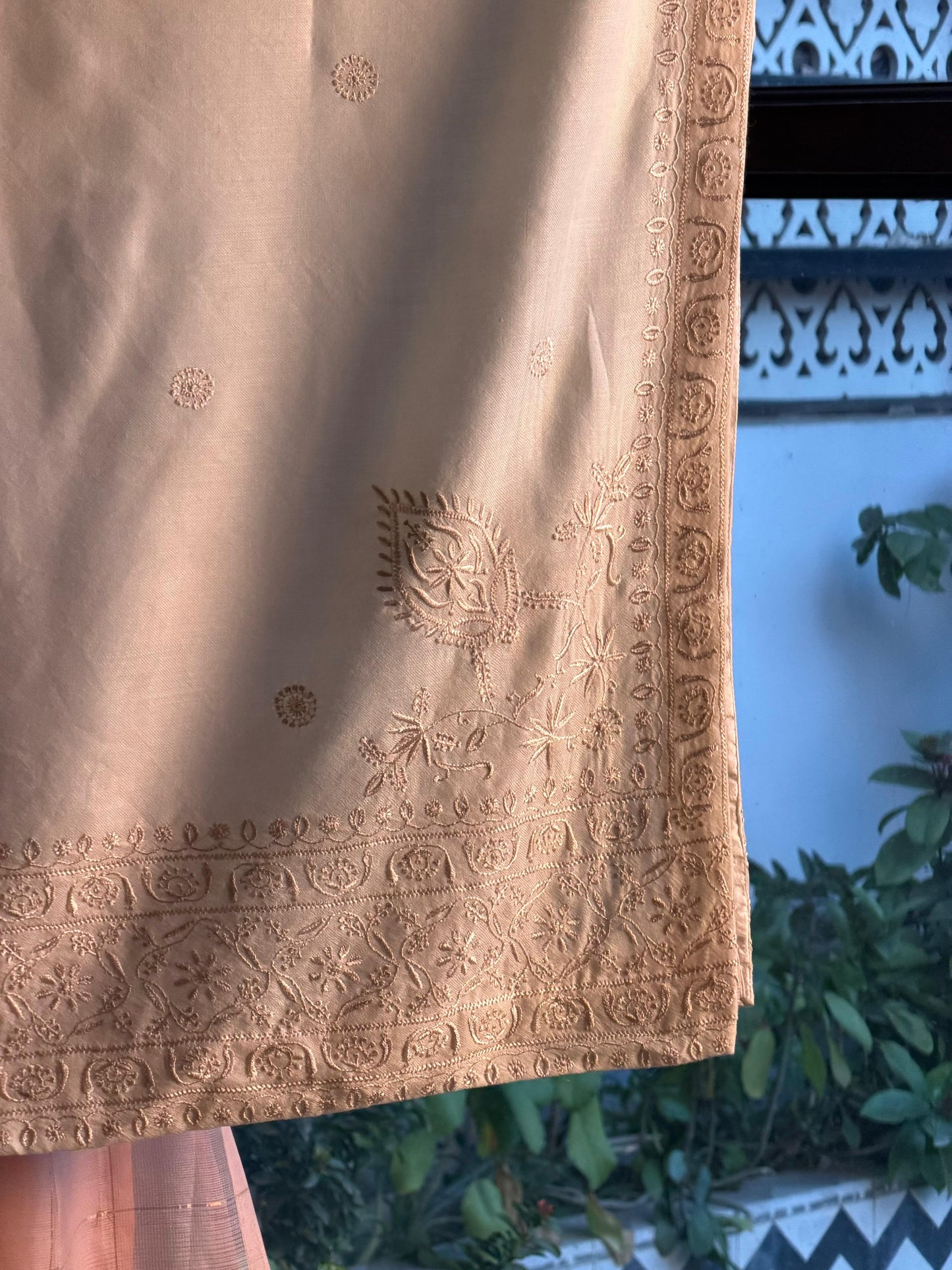 Natural Beige Shade Saman Pashmina Resham Thread Fine Chikankari Shawl