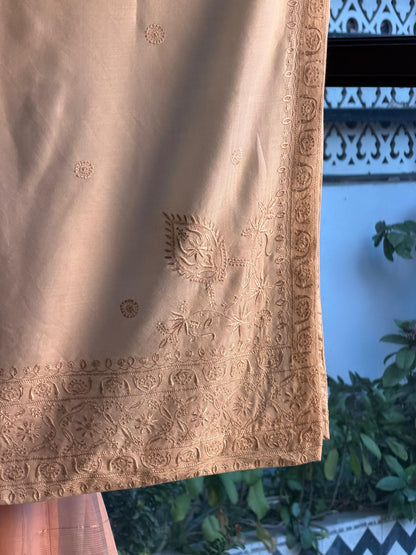 Natural Beige Shade Saman Pashmina Resham Thread Fine Chikankari Shawl