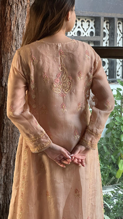 Almond Pink Noor Organza Chikankari A Line Kurta With Dupatta