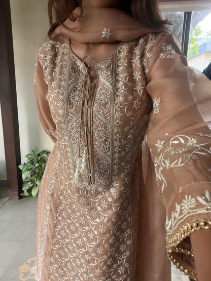 Beige Shade Noor Organza Chikankari Anarkali
