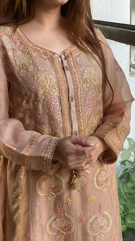 Almond Pink Noor Organza Chikankari A Line Kurta With Dupatta